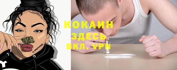apvp Корсаков