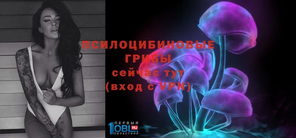 apvp Корсаков
