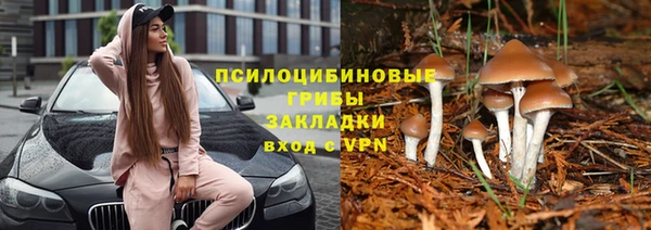 apvp Корсаков