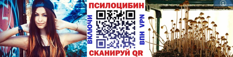 Купить где  Нижняя Салда  Галлюциногенные грибы Magic Shrooms 